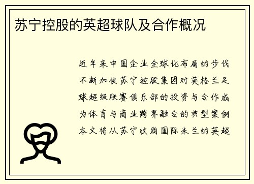 苏宁控股的英超球队及合作概况
