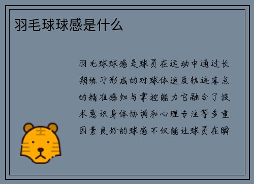 羽毛球球感是什么